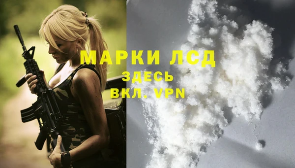 гидра Михайловка